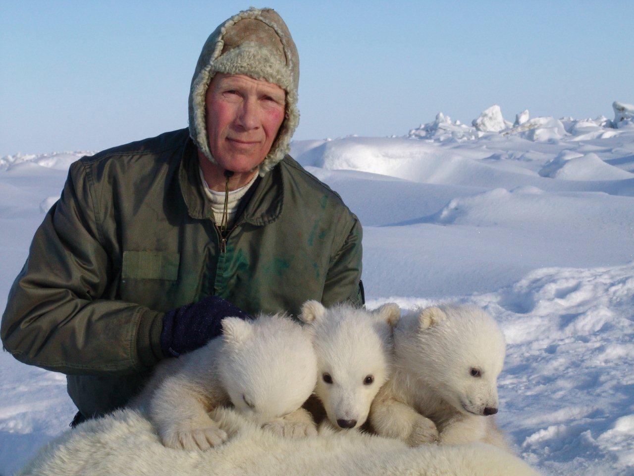 Steve Amstrup with polar bear cub